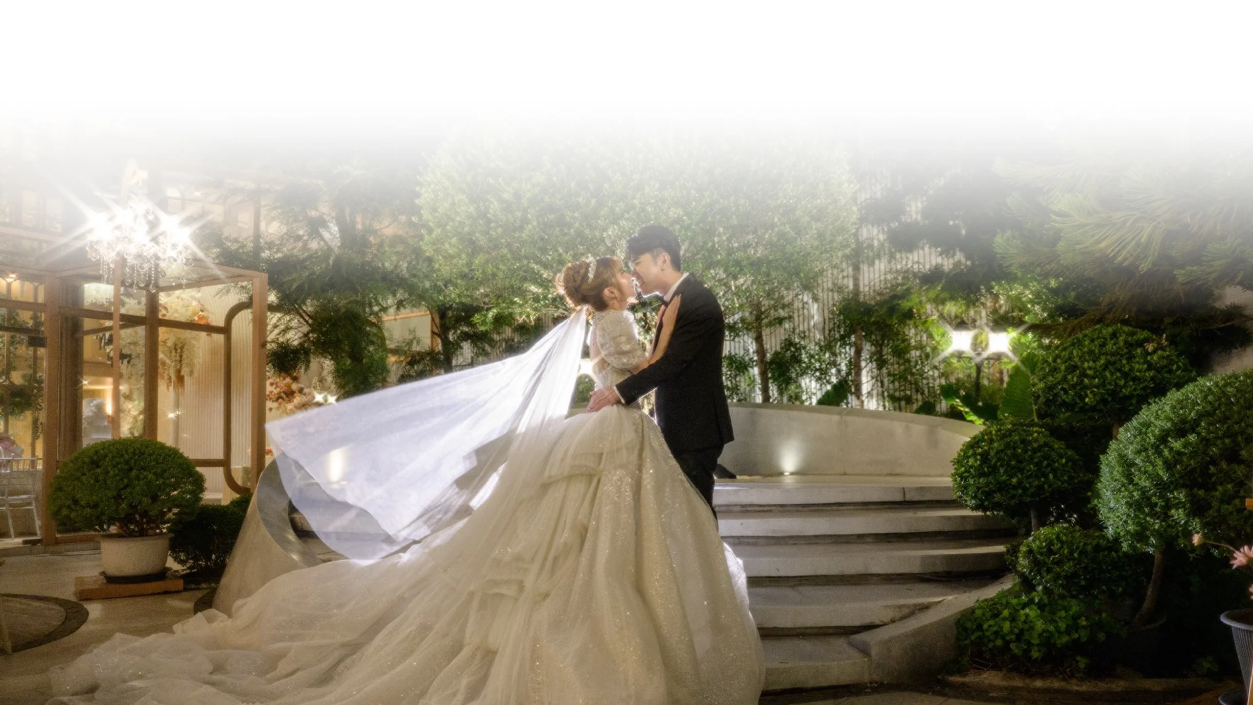 banner 2